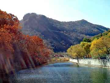 新澳天天开奖资料大全旅游团，中华尊驰论坛